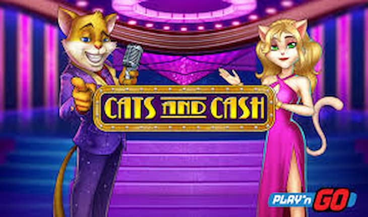 Cats And Cash