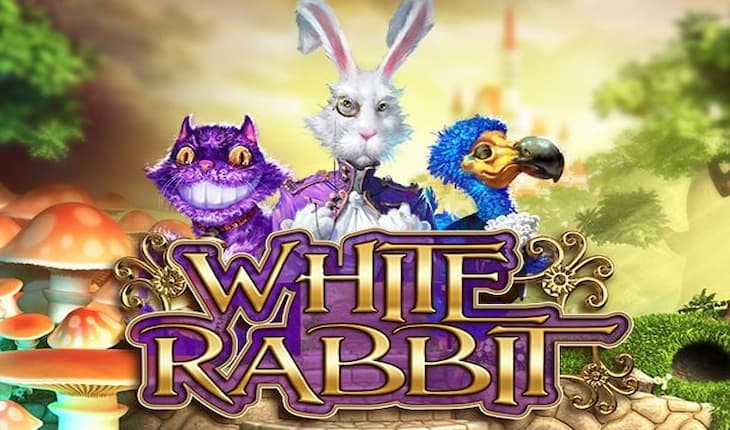 White Rabbit No Drop