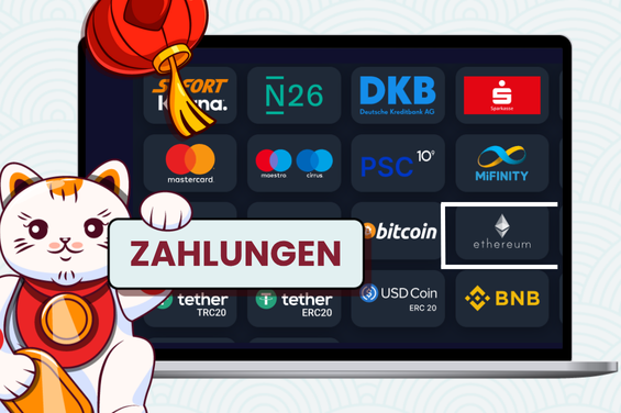 Cartoon-Katze auf Grafik mit verschiedenen Logos von Online-Zahlungsmethoden, darunter Mastercard, Visa und Apple Pay.