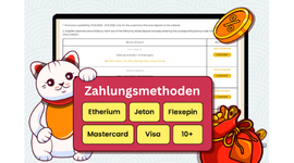Eine Cartoon-Katze zeigt verfügbare Online-Zahlungsmethoden.