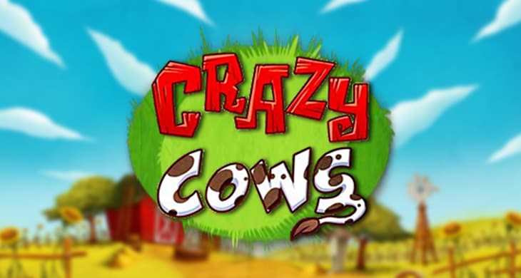 Crazy Cows