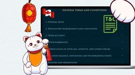 Terms and conditions page with T&C icon and Canadian flag.