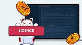 Cartoon cat holding LICENCE sign in front of a laptop screen showing casino terms with gold coins