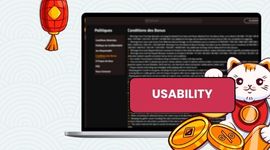 Cartoon cat in front of the laptop showing bonus rules, with coins and sign Bonus Rules