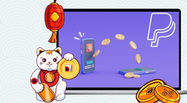 Cartoon cat and a laptop screen showing PayPal transfers with gold coins.