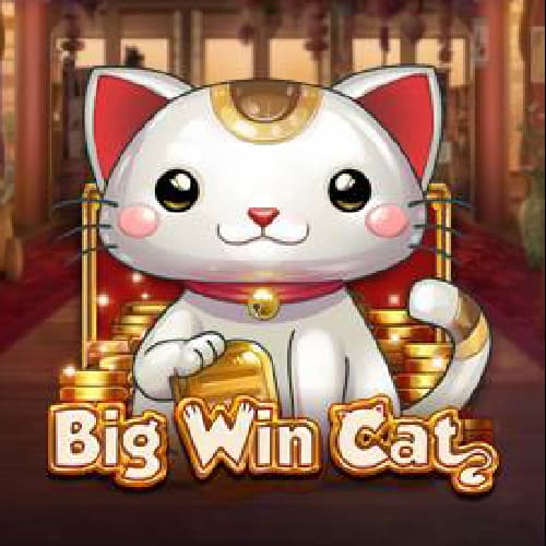 Big Win Cat