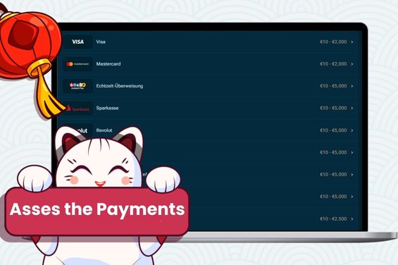 Various payments with the Maneki cat holding assess the payments banner.