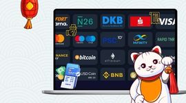 Maneki payment methods in the background with fee and deposit icons.