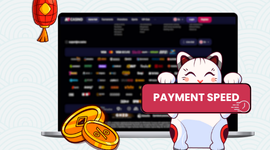 A laptop showing a list of payment methods with a cat holding