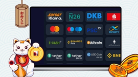 A Maneki Neko cat holding a coin, with a laptop displaying various payment methods.