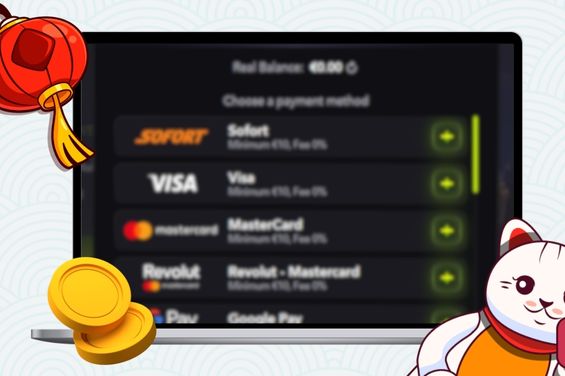 Cartoon cat with a red lantern and coins in front of a laptop showing the casino payment methods