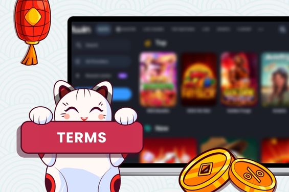 Cartoon cat with a sign Terms in front of a laptop showing bonus terms and lantern with some coins