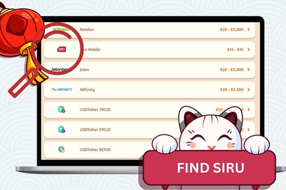 Casino payment methods with a magnifier showing Siru Mobile.