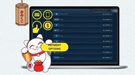 Other payment options with the Maneki cat holding payment options.
