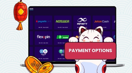 A laptop screen showing logos for various payment options and a 