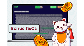Laptop screen displaying Bonus Terms & Conditions with a lucky cat holding a bell.