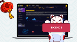 Casino license details displayed on a laptop, ensuring legitimacy and trust in iGaming.