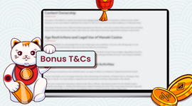 asino bonus terms and conditions displayed on a laptop with a cat holding a sign.