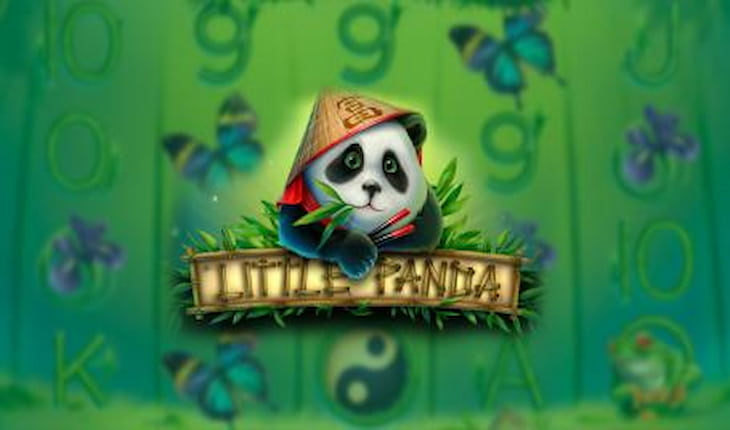 Little Panda