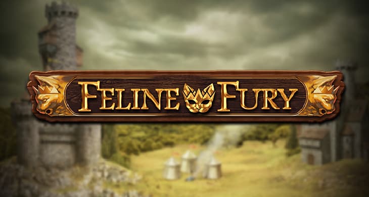 Feline Fury