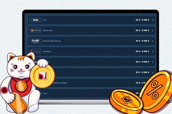 Kissa pitelee kolikkoa kannettavan tietokoneen edessä, jossa näkyy Oceanspin-kasinon maksutavat.