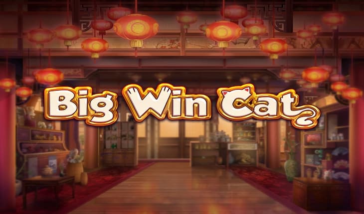 Big Win Cat