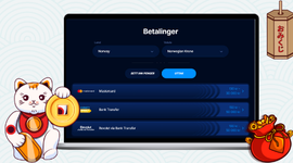 Boomerang-Bet sine betalingsløsninger med en katt som holder en mynt i venstre hjørne.