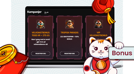 En katt i høyre hjørne med et skilt som sier «Bonus», og en PC med Hugo sine bonus-kampanjer.