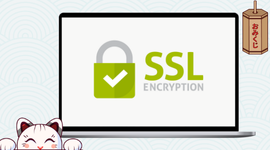 En PC med SSL kryptering på skjermen, en katt som popper opp og en kinesisk lampe.